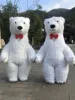 Orso polare bianco