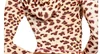 Yellow leopard