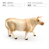 Colorido PL127-2566 Ganado Charolais 138g