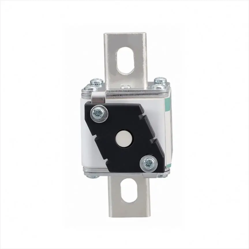 170H0069 MICROSWITCH K1 2A 250V UR Bussmann