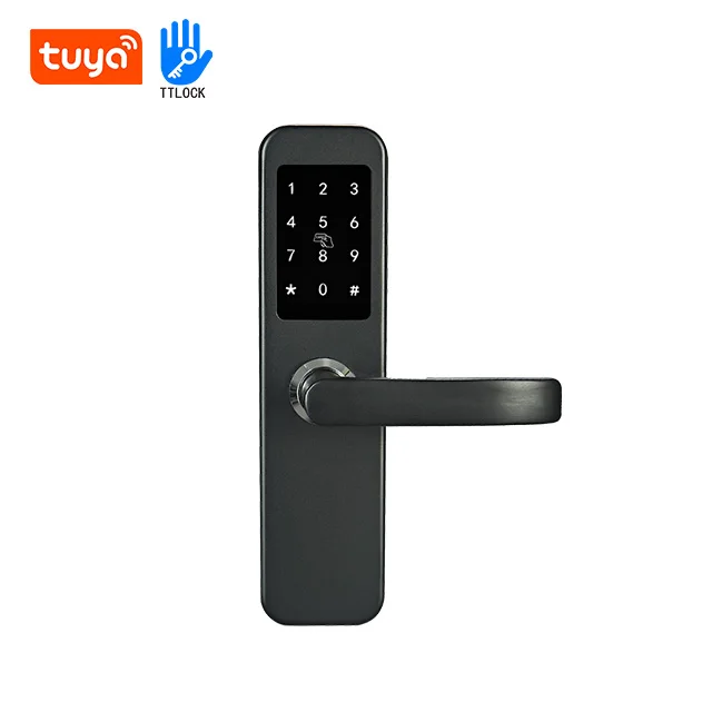 Wifi App Smart Door Lock Mobile App Intelligent Doorlock Apartment