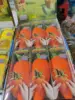 colorful Big carrot