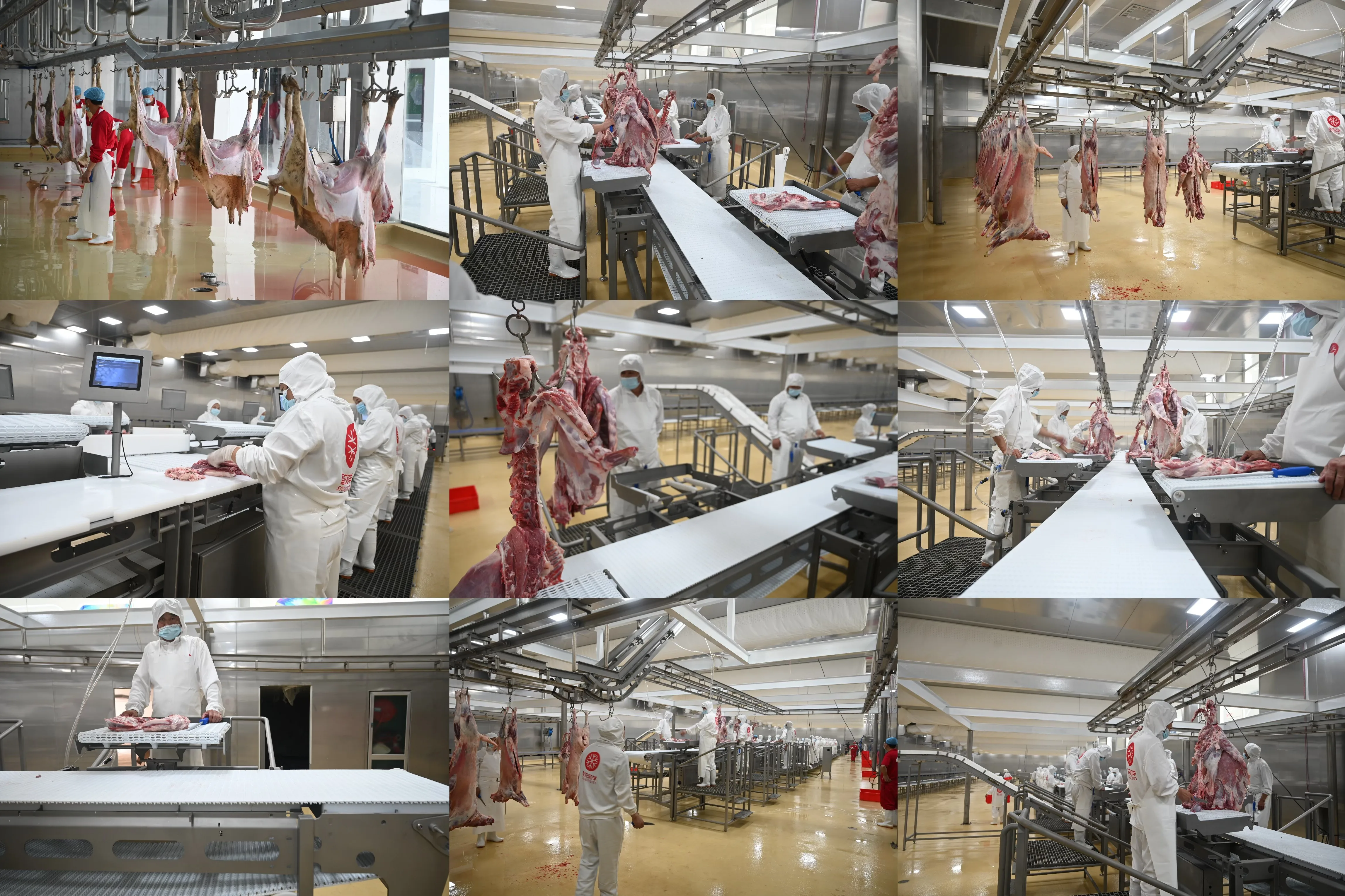 Automatic Heat Shrink Packaging Machine - High Speed Shrink Packaging Machine for Food and Product Packaging Solutions
