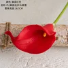 Yellow stamens red