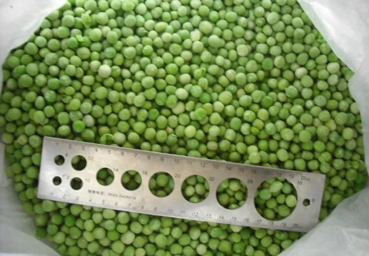 Freeze Dried Green Peas Wholesale Bulk - Natural & No Additives Hdd632c4f1818443fad8ee8fcca3f4765P
