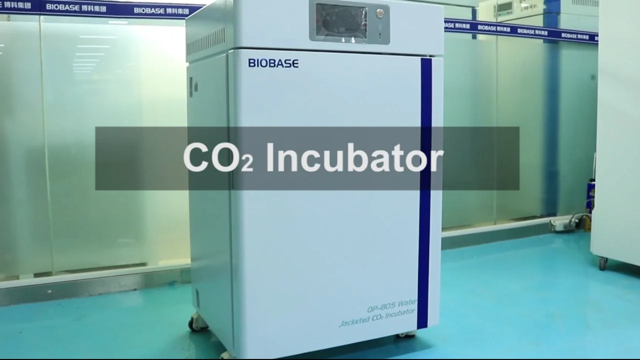 Biobase Co2 Incubator 50l 80l Air Water Jacketed Scientific With Usb ...