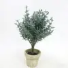 Verde scuro