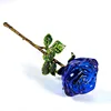 Hojas verdes coloridas, rosas azules