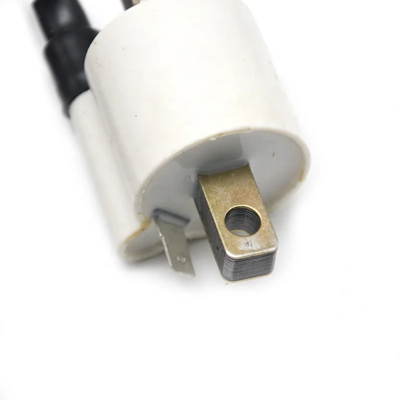 Motorcycle Modification Ignition Coil High Voltage Ignition Coil OEM DTS-1-100P-0101 for BM150 CT100 PLATI.NA100X CD125