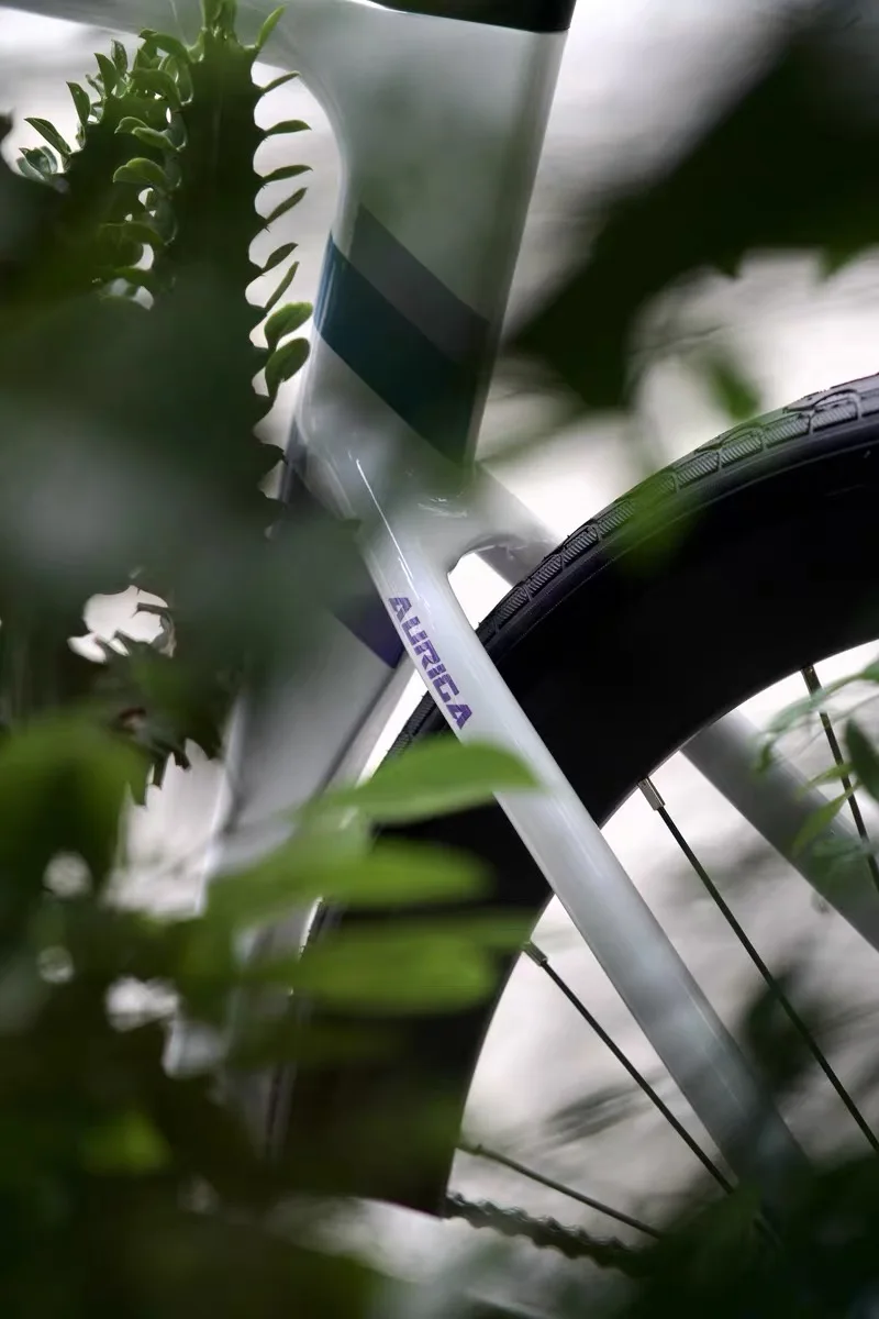 2025 Java AURIGA Road Bike - Lightweight & Versatile Racing Bike
