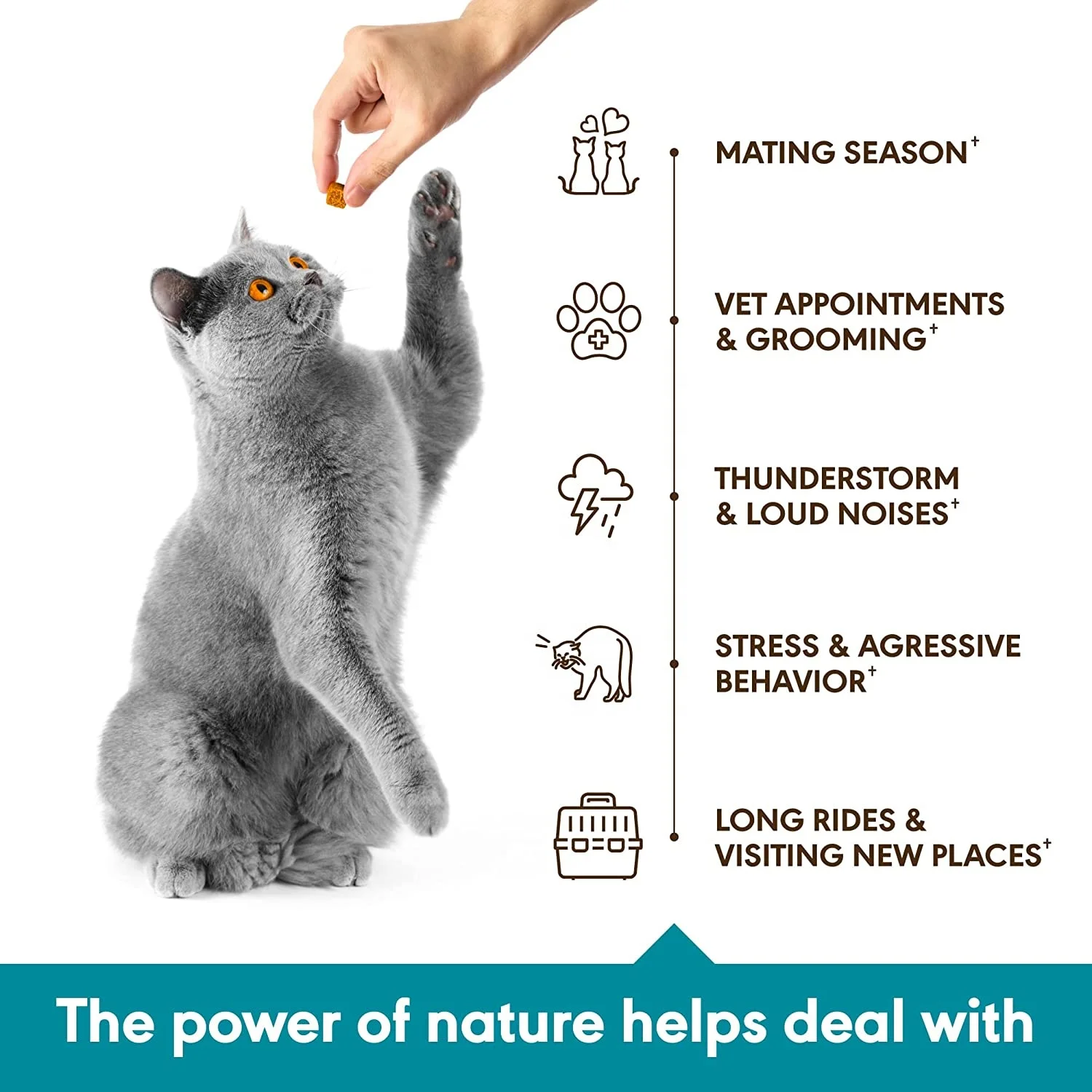 Oem Calming Chews For Cats With Anxiety And Stress Cat Calming Treats