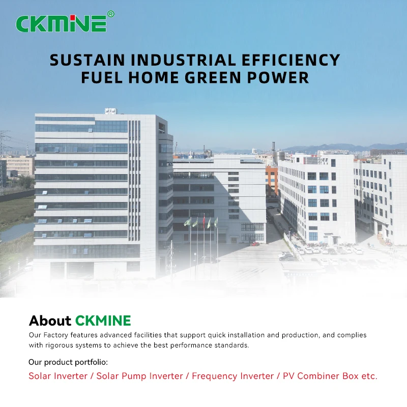 Company overview