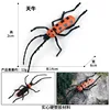colorido escarabajo Longhorn M-2712