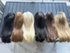 più colori