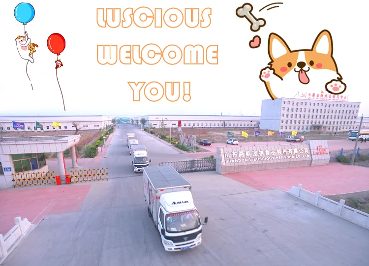 dog biscuits wholesale