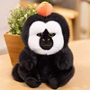 White-faced monk-faced monkey-orange