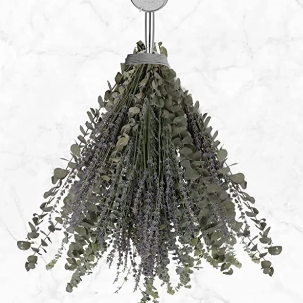 Dried Eucalyptus Branches Real Hanging Eucalyptus Stems Eucalyptus