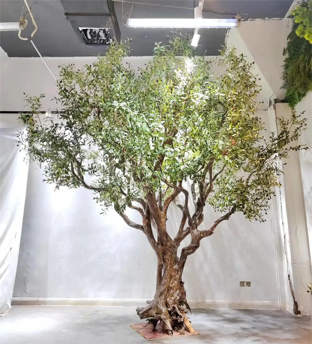 Innendekoration Holz-Glasfaser-Kunststoff-Stamm Grne Bltter Knstlicher  Pflanzbaum Bonsai Olivenbaum-Zweig Olivenbaum