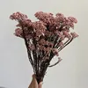 Rosa claro1