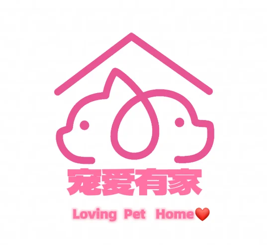 Jiangxi Ying'en Import And Export Trading Co., Ltd.