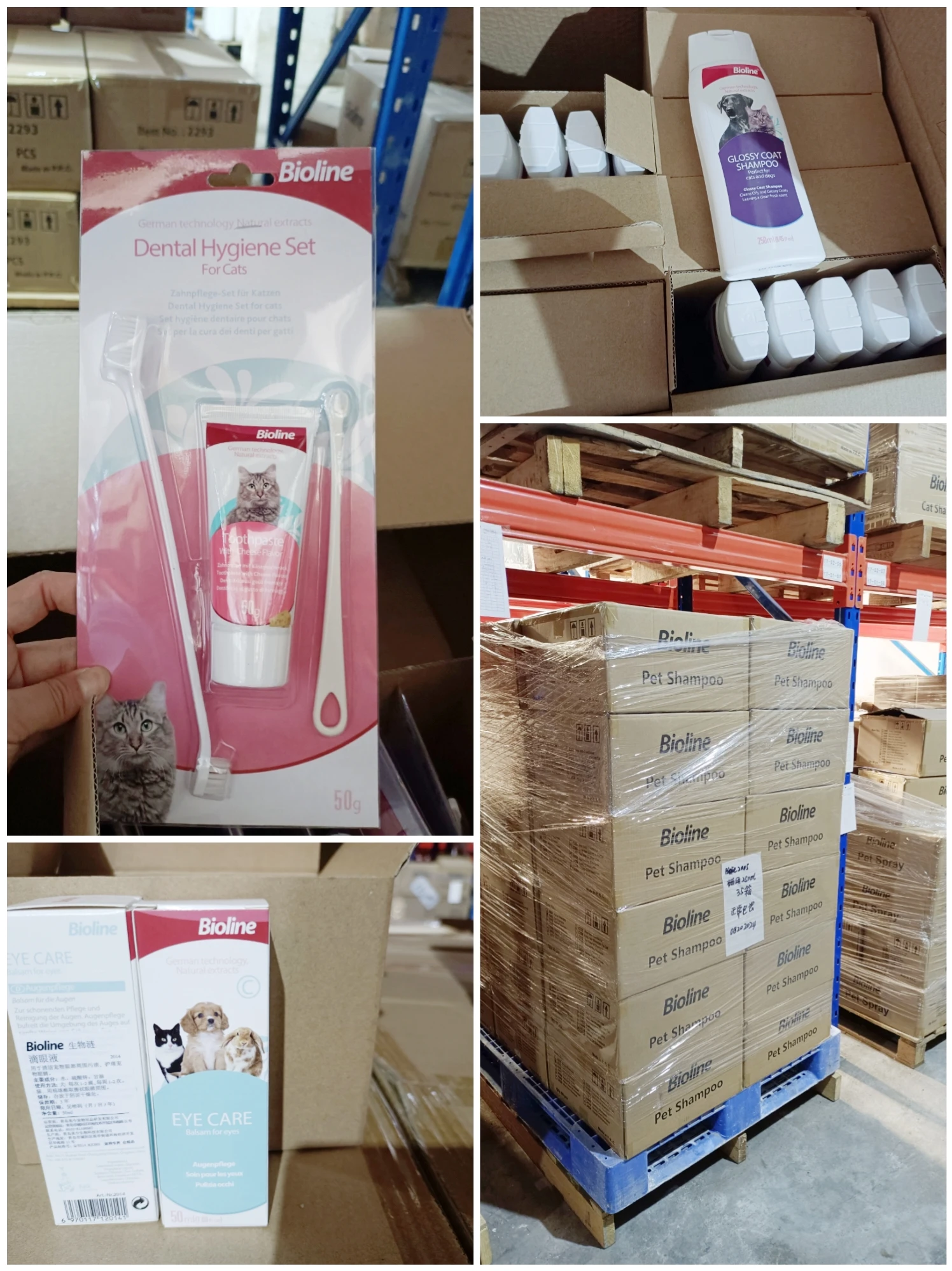 Professional Dog Teeth Brushing Kit Pet Toothpaste & Toothbrush Human