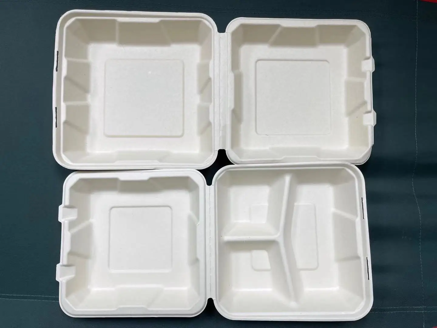 Compostable 9x9x3 3 Compartment Clamshell To Go Containers 200 pcs –  Pony Packaging