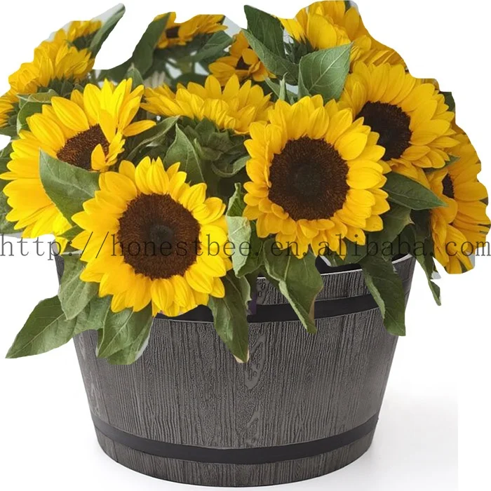 T4U 16.5cm Vasi Per Piante Autoirriganti Set Di 3, Vasi Da Esterno - Foto 2