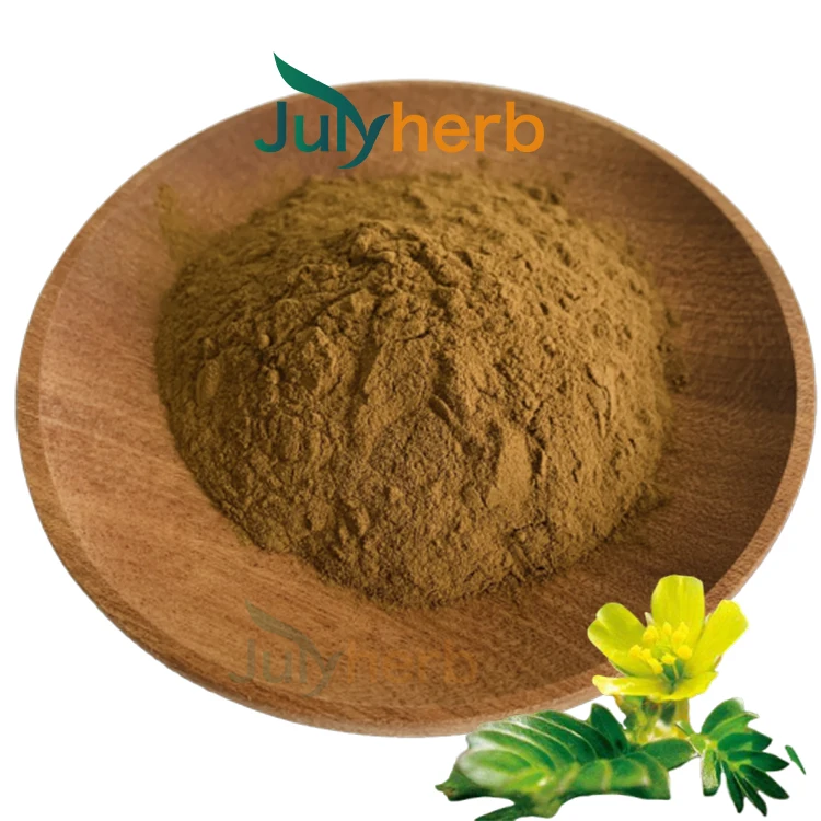 Tribulus Terrestris Extract Protodioscin 40% powder