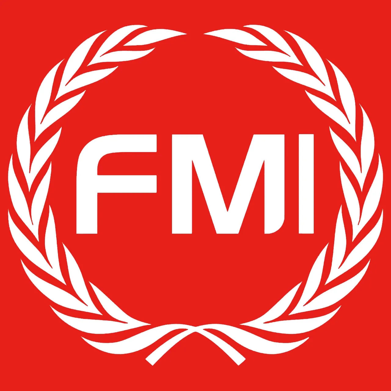 Company Overview Shenzhen Feng Man International Technology Company Ltd 