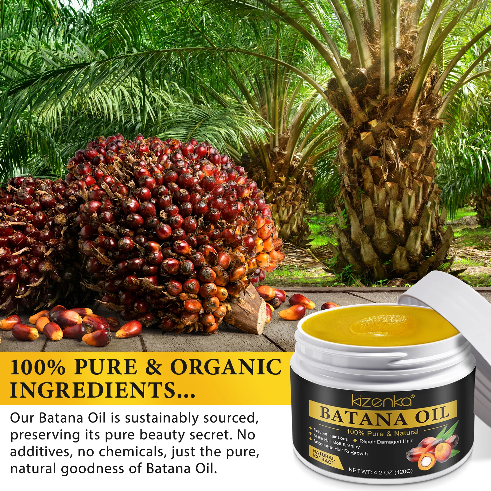 Huile Batana 100% Bio Du Honduras – 3,4 Fl Oz – Pour Croissance Cheveux Et Barbe – Expire Janvier 2027