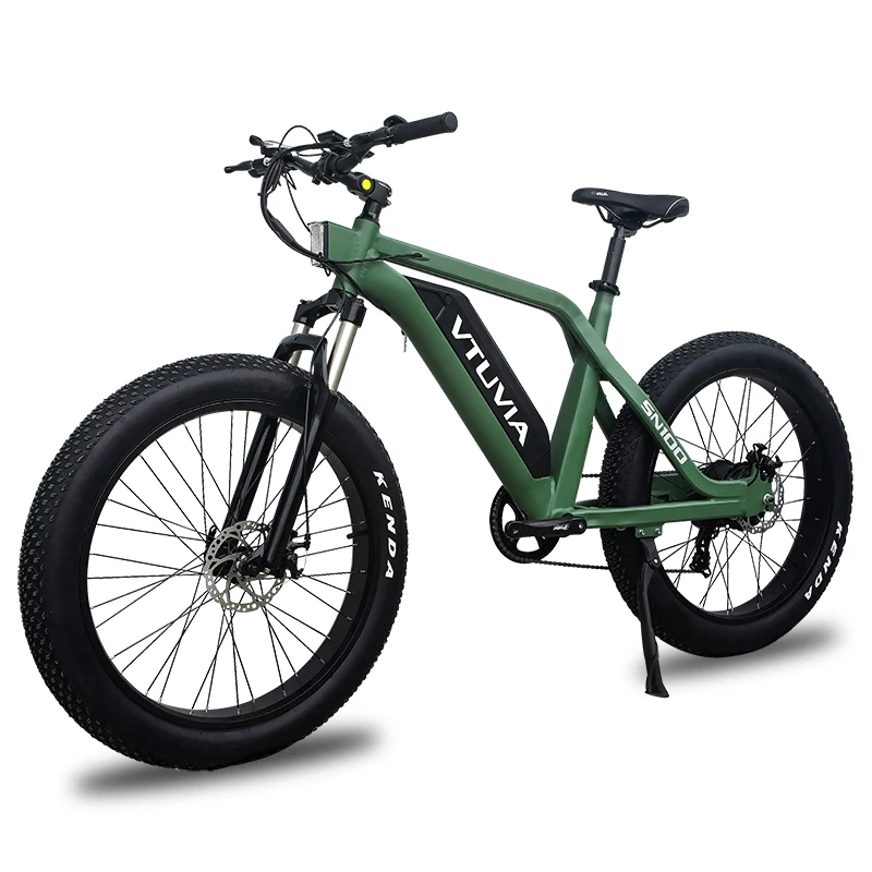 Vtuvia/v-sn100 750w Electric Fat Tire 
