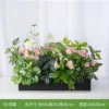 Prenda con plumas [Adecuada para jardineras de 60 cm]