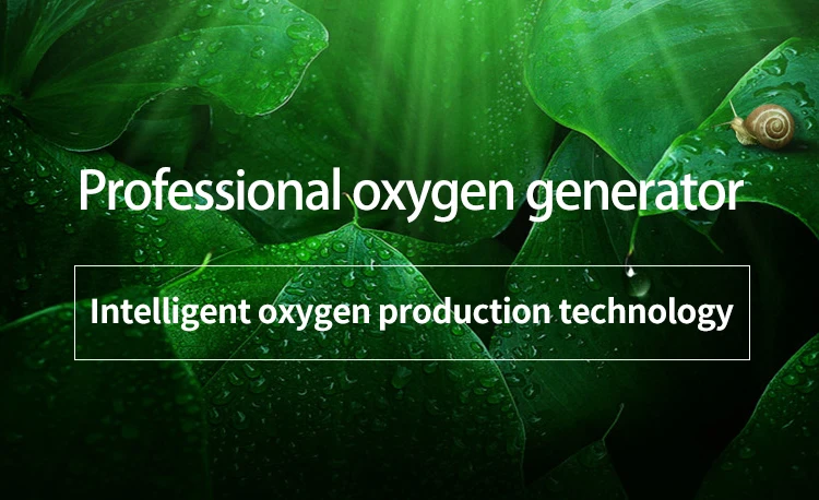 High Quality German Technology Medical Portable 10L Oxygen Concentrator Oxygen Generator Machine