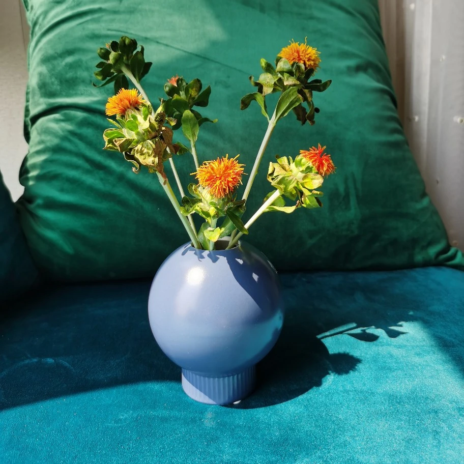 Drop ShippingAmazon Randy Ceramic Vase Decoration Furniture Creative Flower Arrangement Dry Flower Decoration INS Style Vase