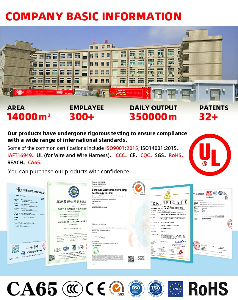 Company overview