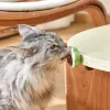 Green Paw Catnip ball