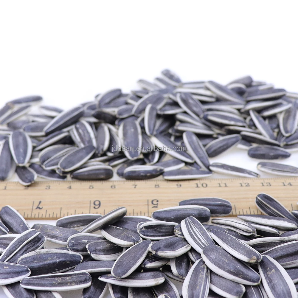 Sunflower Seed 361 363 5009 601 China Origin Bulk Sunflower Seed for Oil Jumbo Sunflower Seeds Raw