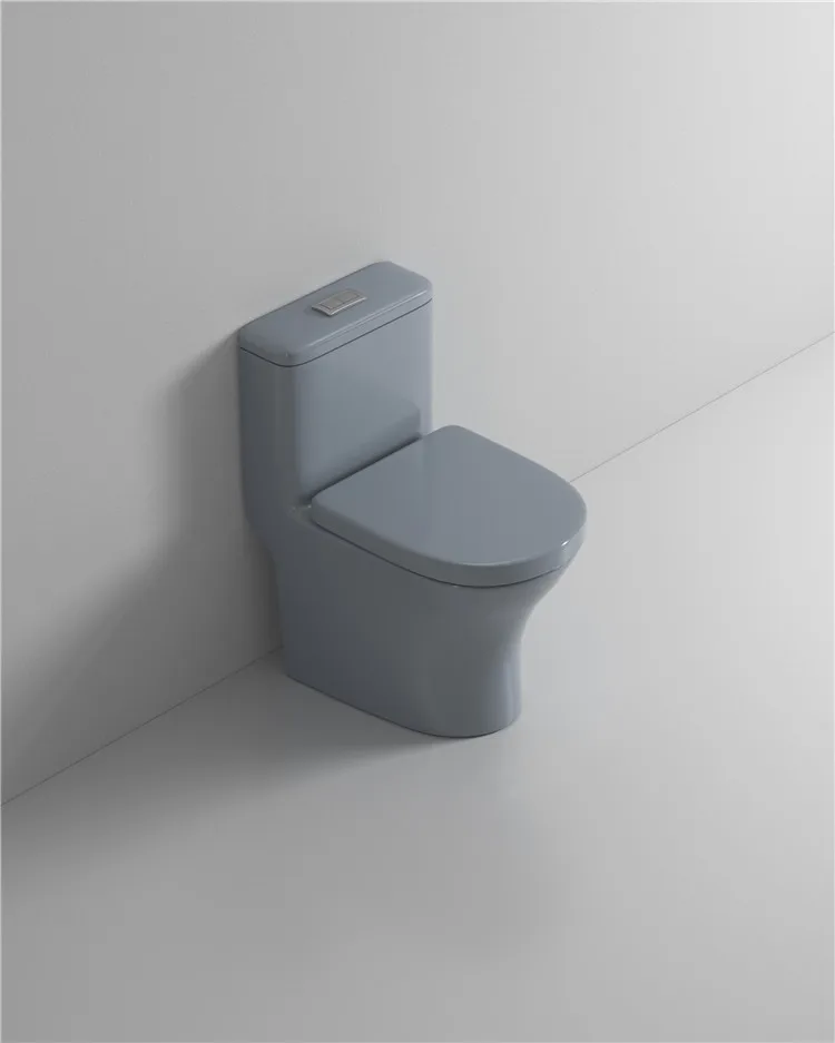 Factory wholesale Hotel apartment water closet ceramic sanitary ware bathroom toilet small apartment integrated flush toilet details