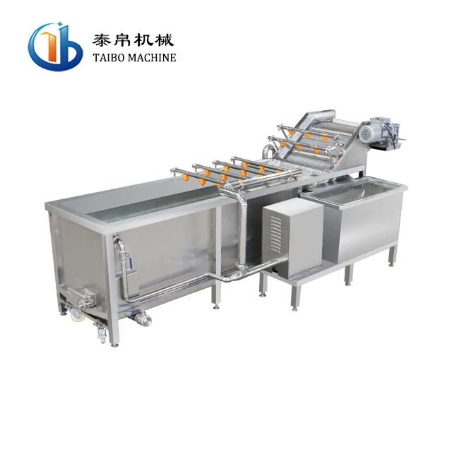 Industrial Prickly Pear Washing Machine to Clean the Thorn Fruit Vegetable Washing Machine