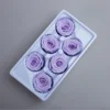 Lavender 5-6cm