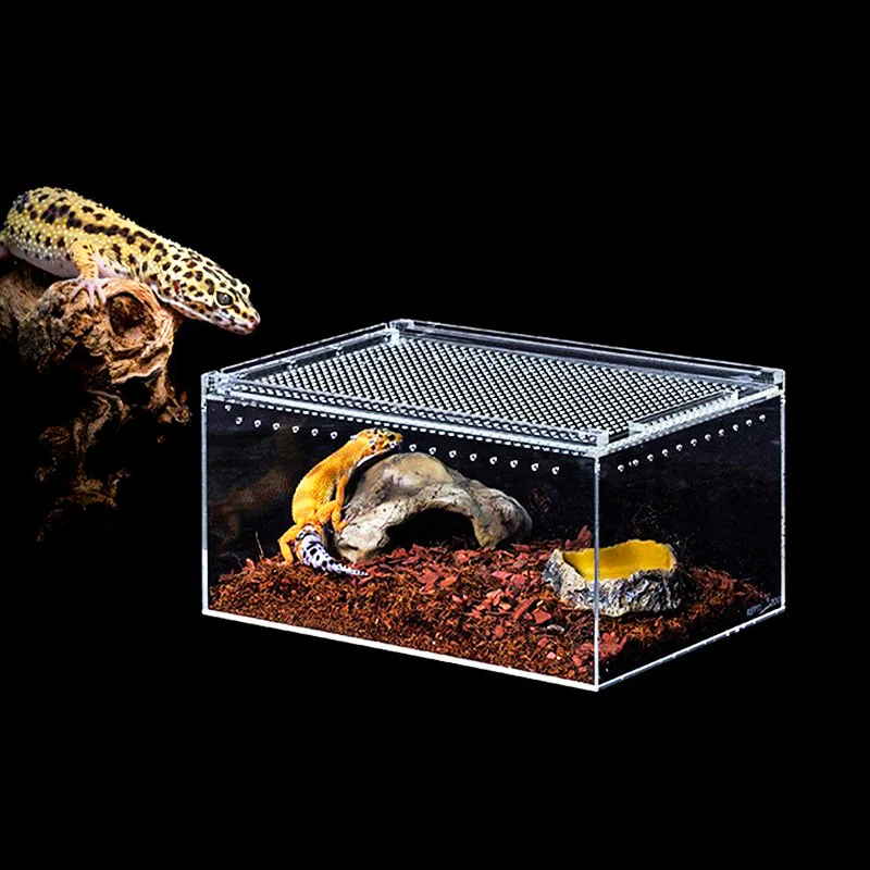 Customized Reptizoo Double Layers Lizard Turtle Small Animal Pet ...