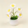 Lys blanc (5 têtes) petite plante en pot
