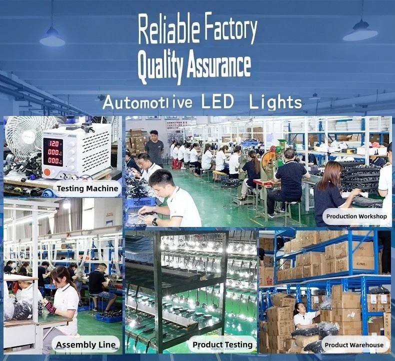 Guangzhou Maisiteng Technology Co., Ltd.