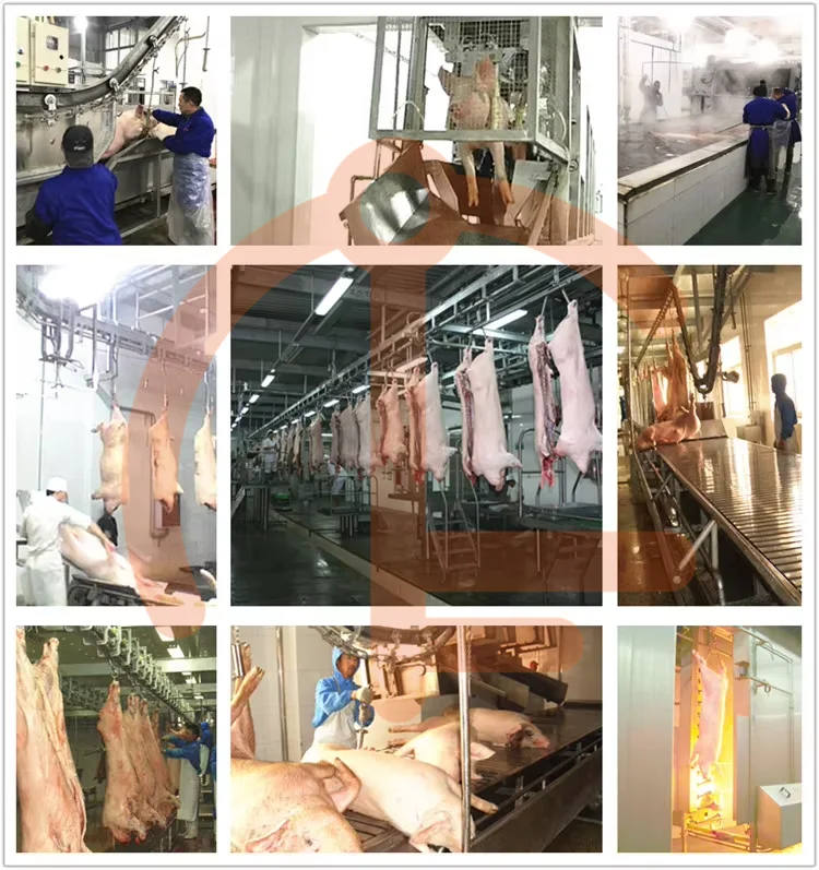 Complete pig slaughterhouse equipment, suitable for pork slaughterhouses and meat processing plants