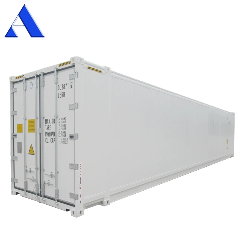 45ft HC Refrigerated Reefer Container 380/460V Low Temperature Stainless Steel and Aluminium for Vegetable & Fruit Storage