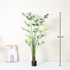 White-edged Monstera deliciosa - 180cm