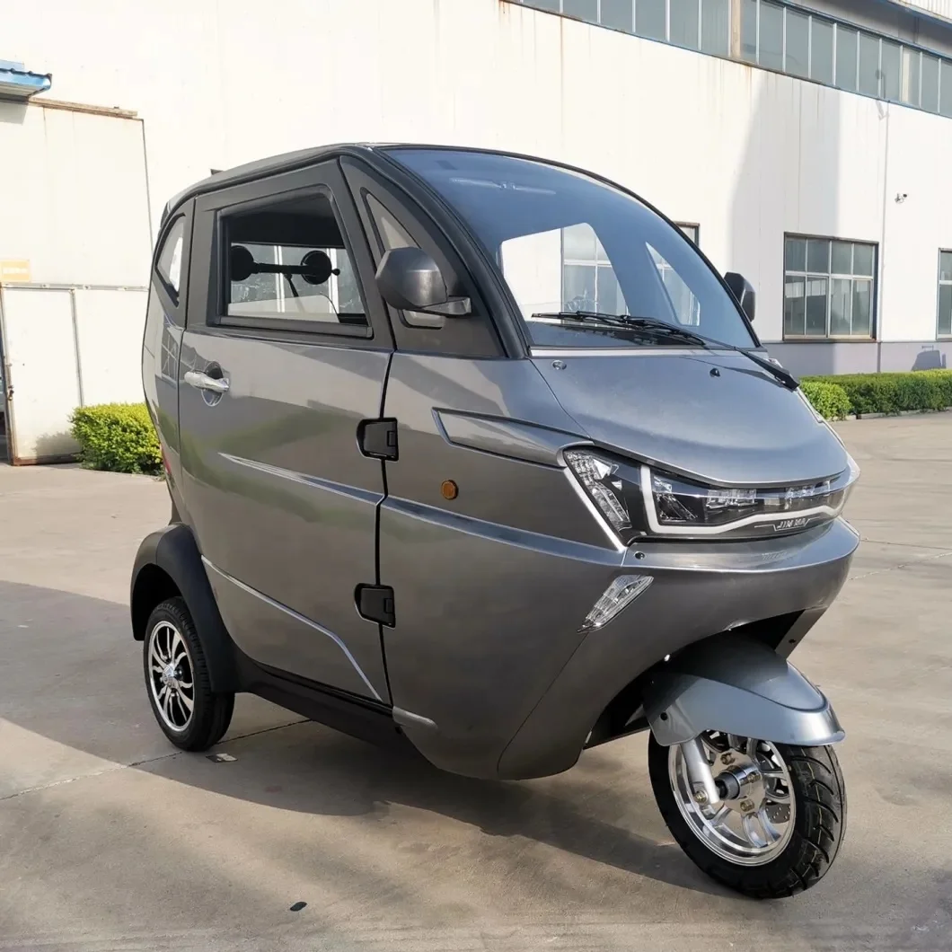 大人の行商人の三輪車と乗客se三輪電動バイク大人の三輪車中古
