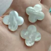 Guscio bianco