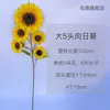 Large five-headed sunflower, shipped separately