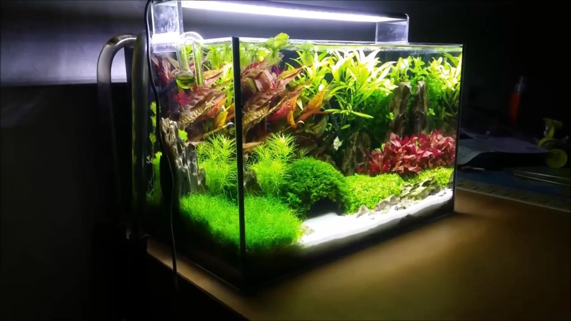Chihiros A Series Led Aquarium Lighting With Dimming 20-60cm Extensible ...
